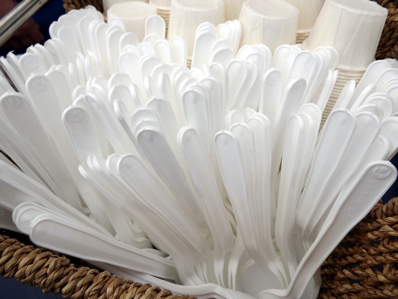 Are Compostable Plastics a Viable Alternative?